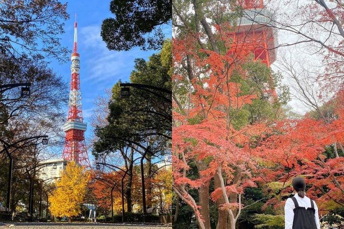 日本紅葉2022 日本旅遊賞楓懶人包 拍拖景點 紅葉打卡攻略